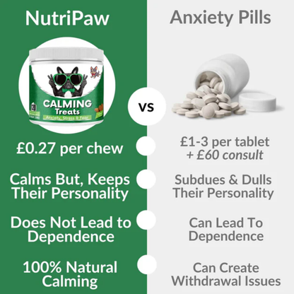 120 Tasty Calming Treats for Stress, Anxiety & Fear